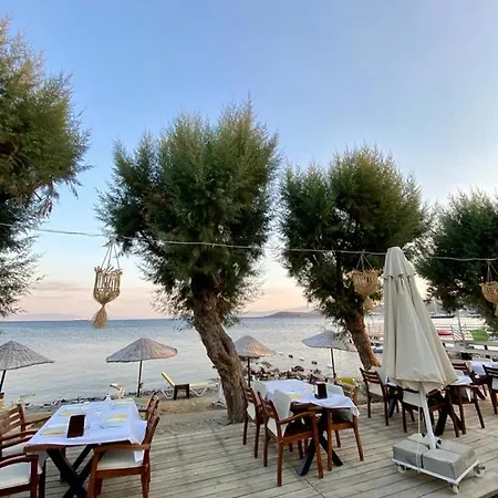 Yilmaz 2* 오르타켄트