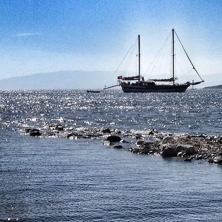 Yilmaz 2* 오르타켄트