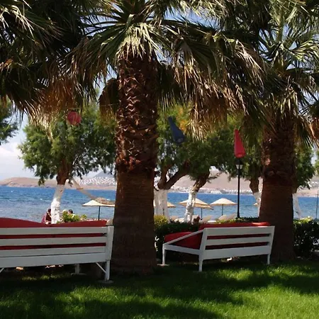 Yilmaz 2* 오르타켄트