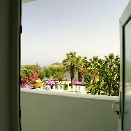 Yilmaz 오르타켄트