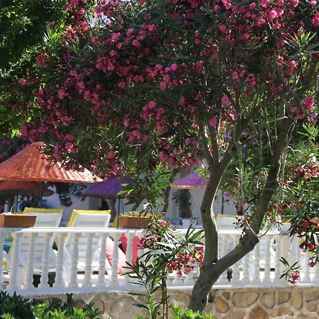 Yilmaz 오르타켄트