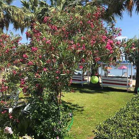 Yilmaz 호텔 오르타켄트