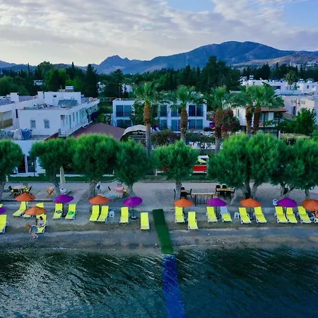Szálloda Yilmaz Ortakent