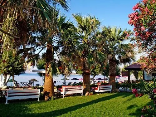 Yilmaz אורטקנט