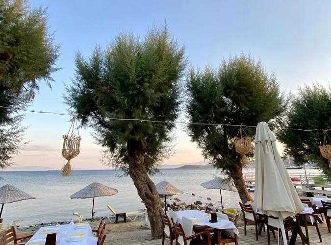 Yilmaz 2* אורטקנט