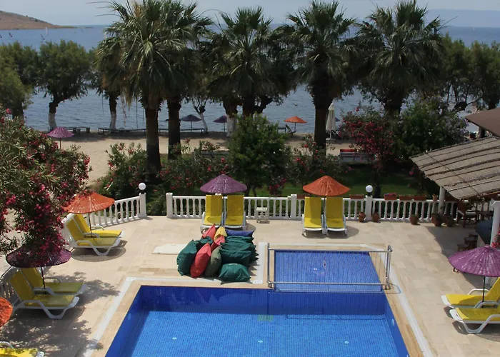 Yilmaz أورتاكنت