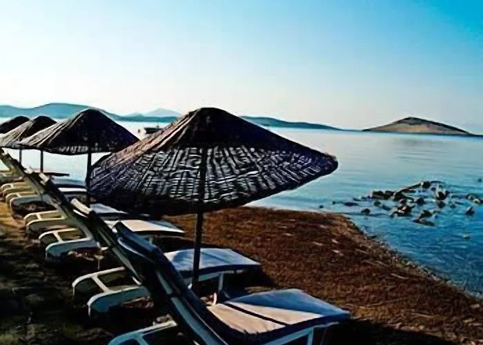 Yilmaz מלון אורטקנט