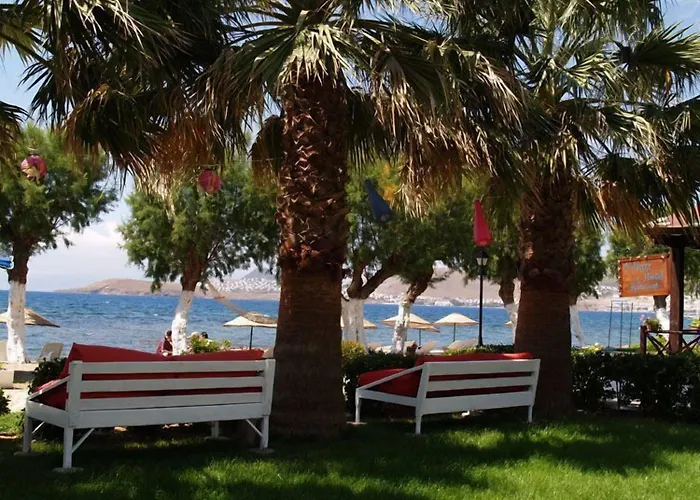 Yilmaz 2* אורטקנט