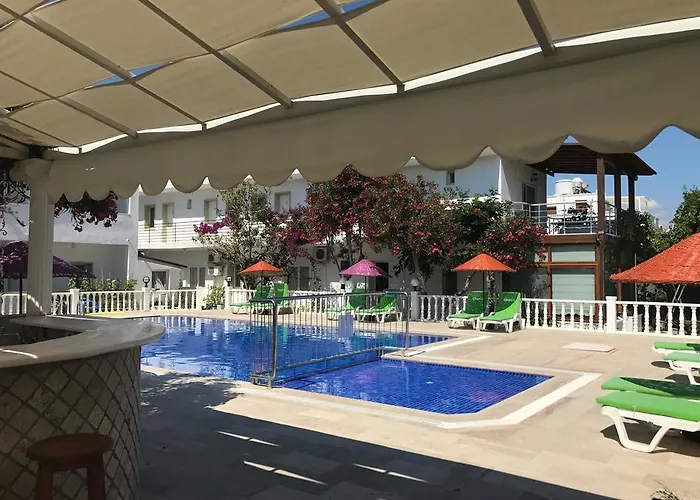 Yilmaz אורטקנט