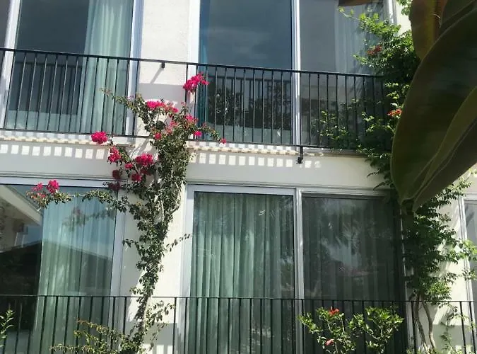 Yilmaz 2* אורטקנט