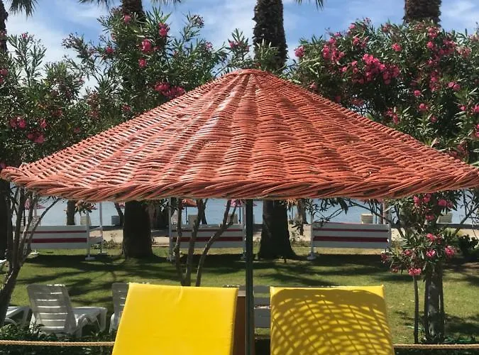 Yilmaz أورتاكنت