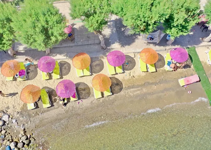 Yilmaz אורטקנט