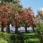Hotel Yilmaz Ortakent