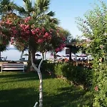 Yilmaz 2*