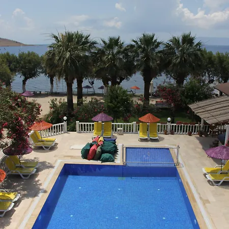 Yilmaz Ortakent