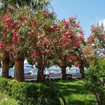 Szálloda Yilmaz Ortakent