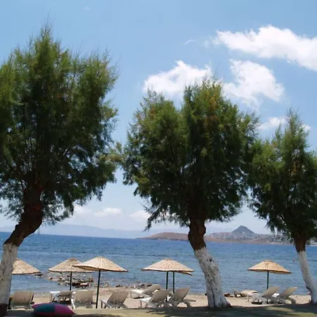Yilmaz Hotel 2*