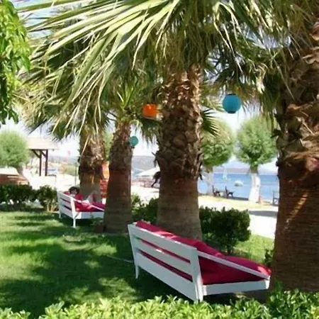 فندق ييلماس