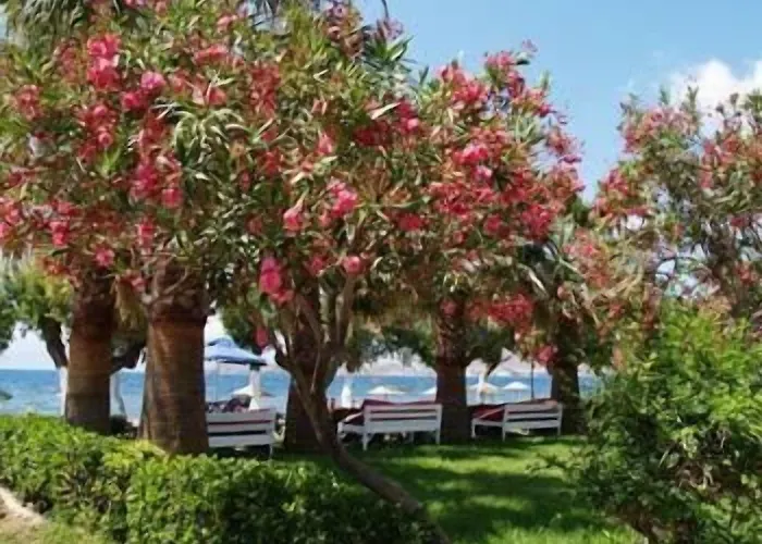 Hotel Yilmaz Ortakent